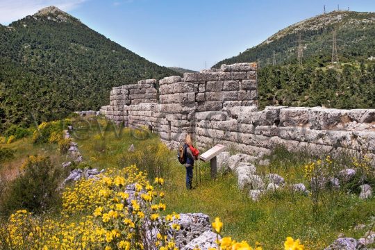 Το αρχαίο φρούριο των Ελευθερών, καθώς βρισκόταν στη μεθόριο των πόλεων Αθήνας και Θήβας, άλλαζε συχνά χέρια